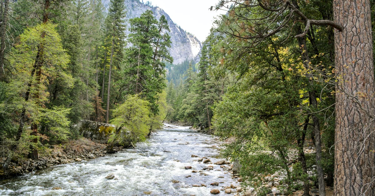 Chilean traveling to USA - Yosemite National Park