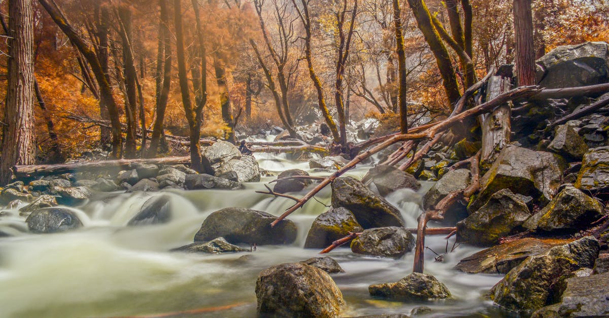 Chilean traveling to USA - Yosemite National Park Rivers