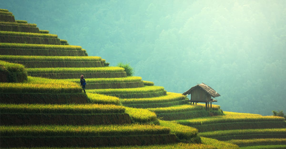 China intercity travel by taxi or minivan - Person Standing on Terraces