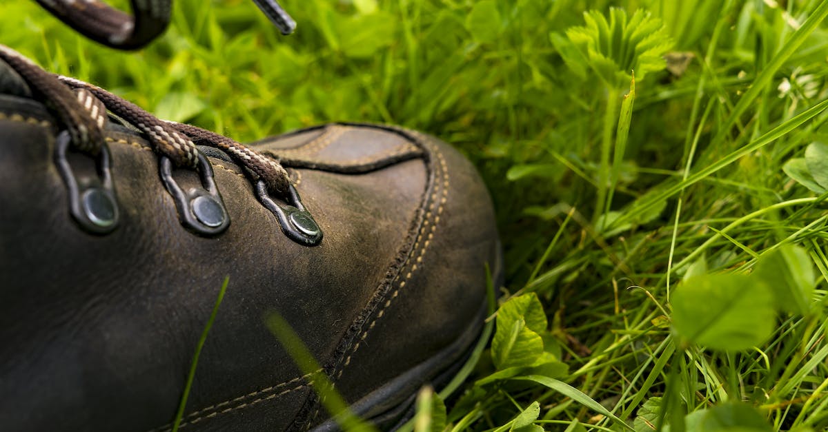 Choosing hiking shoes [closed] - Black Leather Shoe on the Grass