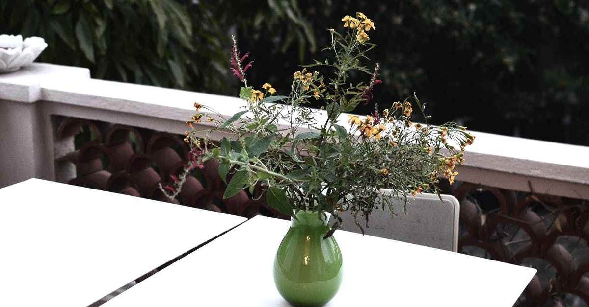 Citizens Advice Bureau France - Flower Vase on a White Table