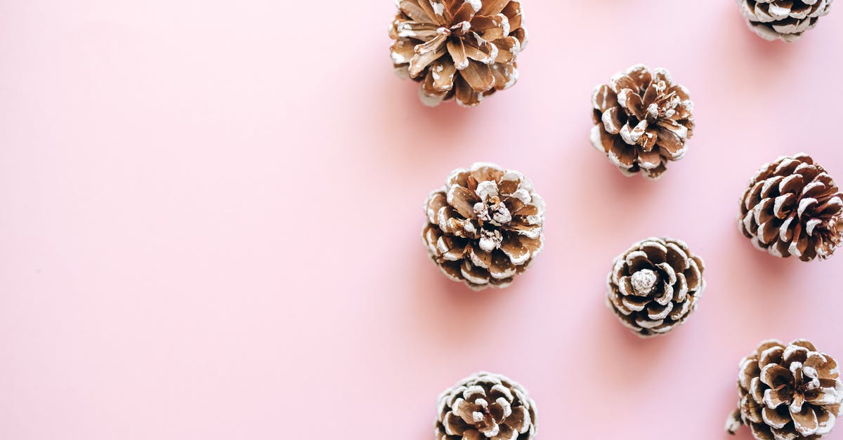 Cluj-Napoca to Sighisoara [closed] - Brown Pine Cones on White Surface