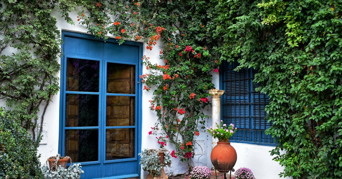 Coca leaves - legal status in Spain [closed] - A Blue Door on a White Building Full of Climbing Plants