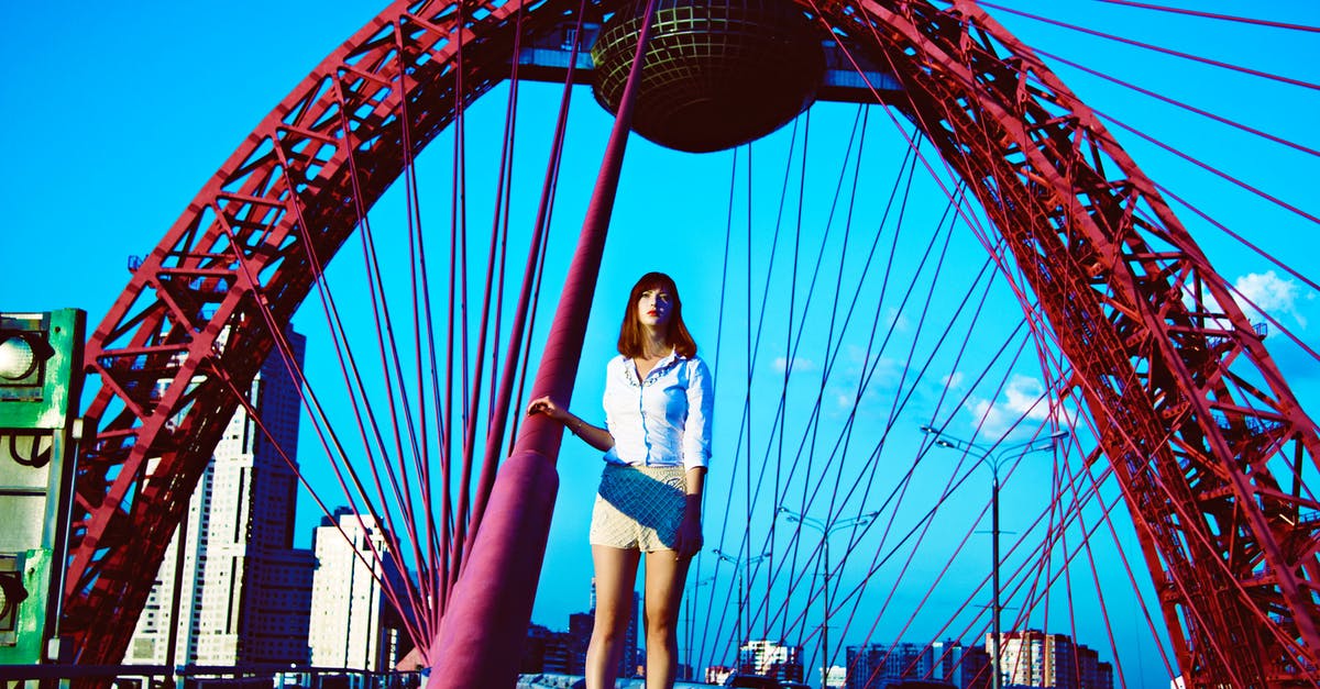 Combined attraction pass for Moscow and St Petersburg - Woman Standing on Red Roller Coaster