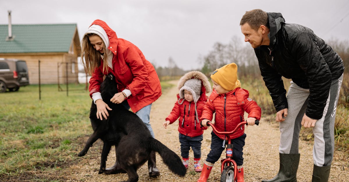 Companion Visa for family - A Woman Playing with Their Pet Dog