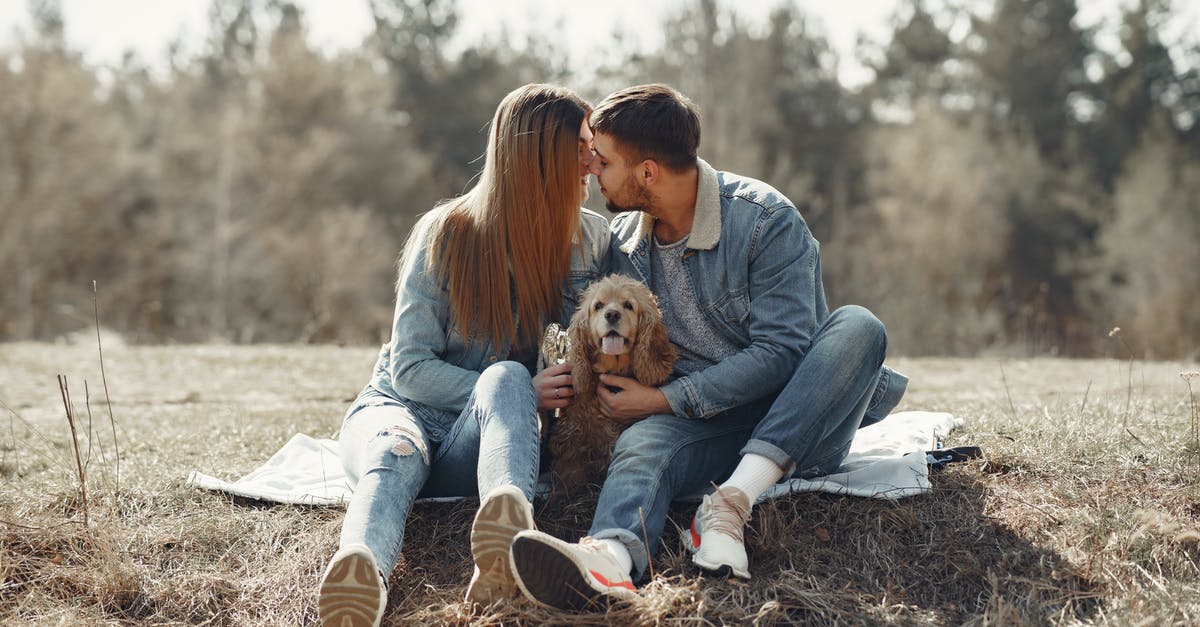 Companion Visa for family - Full body happy couple in jeans clothes kissing while hugging cute American Cocker Spaniel together having rest on forest lawn in autumn