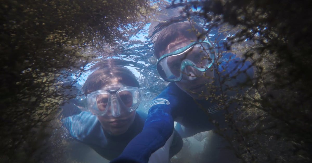 Comparison website for scuba diving prices? - Photo of Two People Snorkeling.