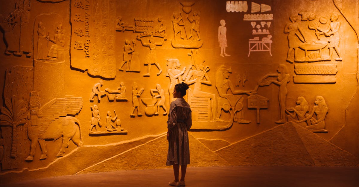 Computer/Technology oriented tourist attractions - Back view of anonymous female traveler standing near ancient wall with Egyptian engraving