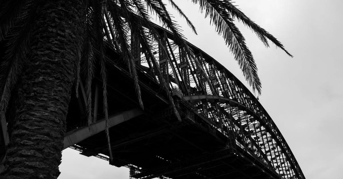 Connecting through Abu Dhabi with Etihad and Virgin Australia - Modern massive arched bridge near palm on cloudy day