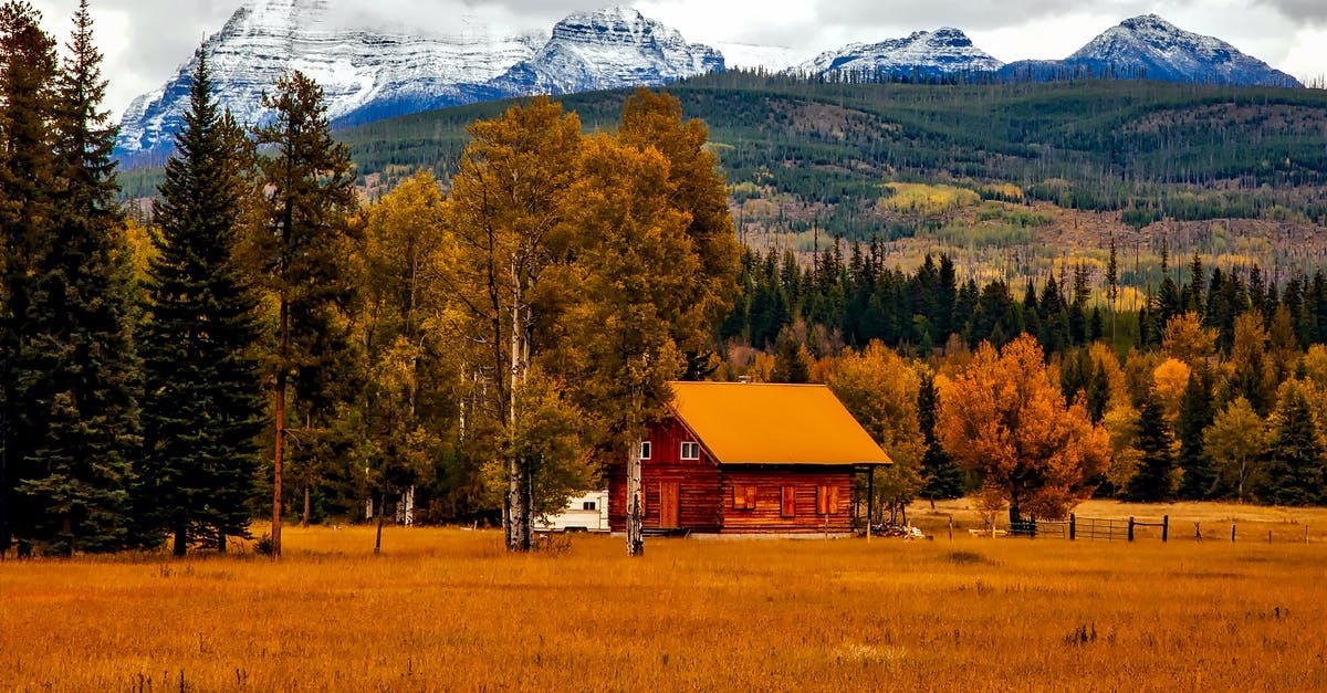 Consequences for canceling flight to home country? - Brown Cabin Near Trees and Mountains