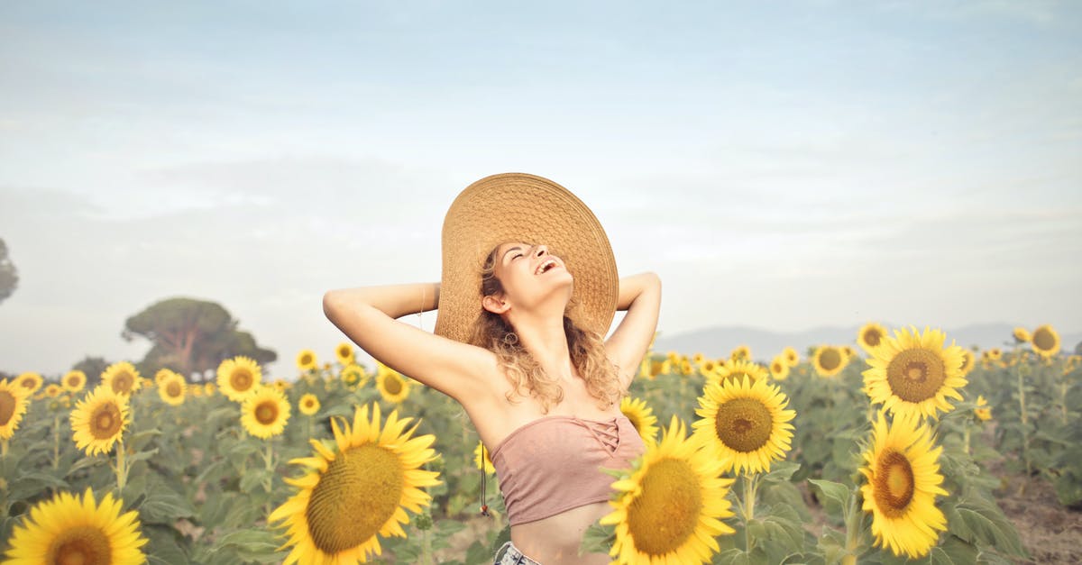 Country Hopping and Visas [closed] - Woman Standing on Sunflower Field