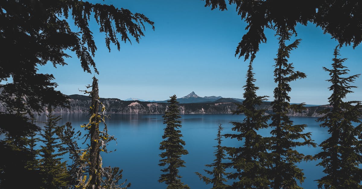 Crater Lake Oregon - can you sleep in your car at night? - Green Trees Against Body of Water Photo