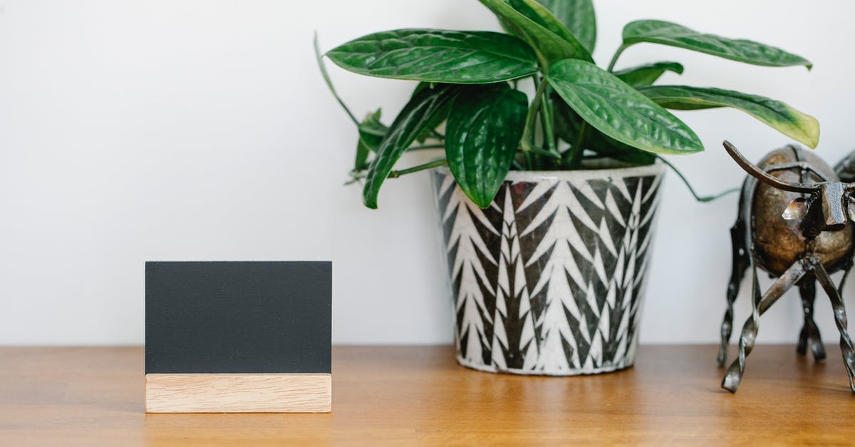 Credit card name mismatch because of long name - Blank name card placed on shelf near potted plant and metal cow statuette against gray wall