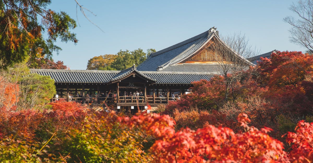 Culture Day in Osaka/Kyoto - Exterior of ancient Tofukuji Temple located in Kyoto surrounded with trees with red and green leaves under blue cloudless sky in sunny day in fall