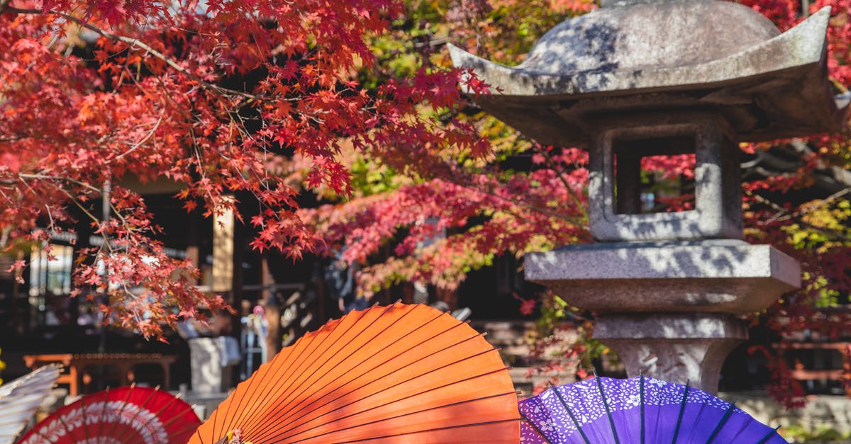 Culture Day in Osaka/Kyoto - Traditional Japanese lantern in garden with maple trees and paper colourful umbrellas in sunny day