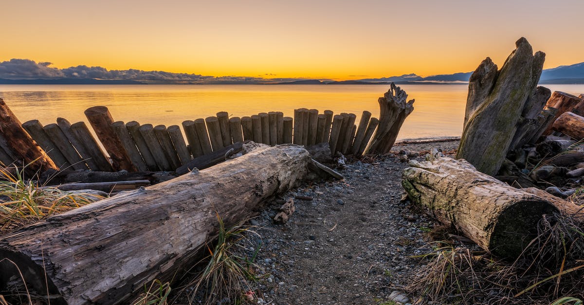 Curonian Spit and Kaliningrad - Brown Wood Logs on Sand during Sunset