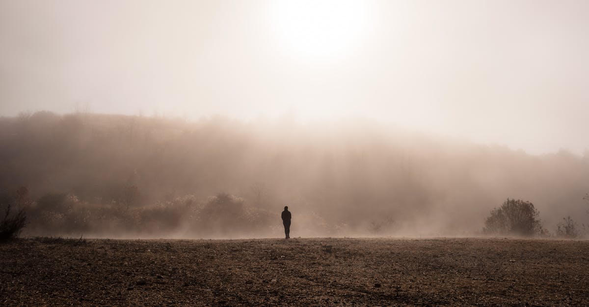 Currency restrictions travelling outside of United States - Silhouette Of Person Walking on Brown Field