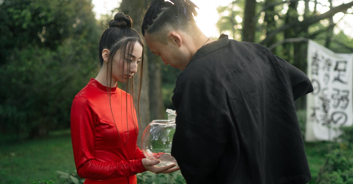 Customs & Ticketing going to Japan - Woman In Red Dress Holding A Fish Bowl