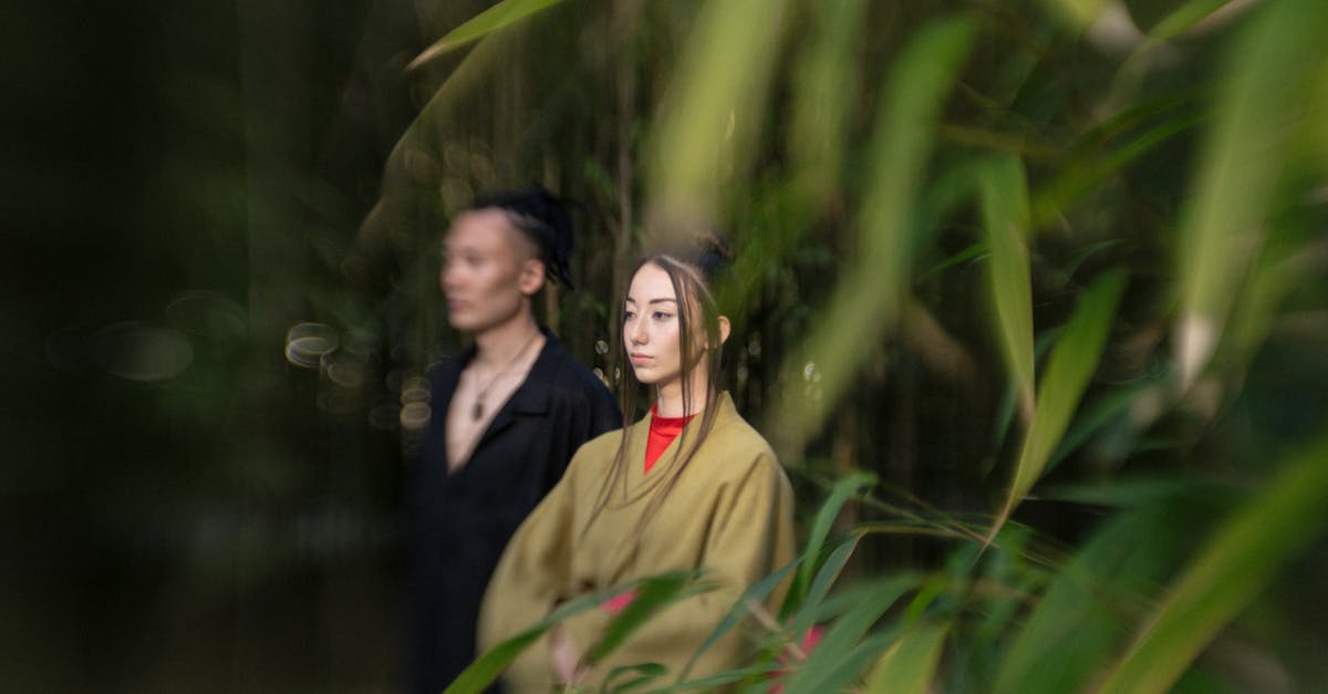 Customs & Ticketing going to Japan - Man And Woman Standing Beside Green Grass