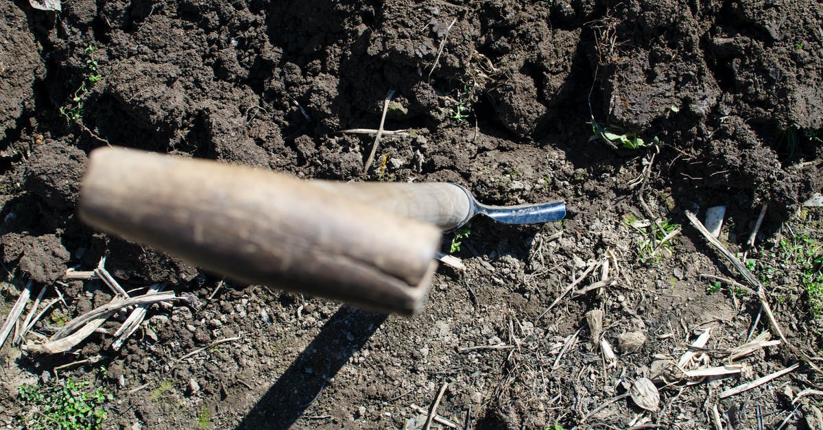 Day trip to a coffee farm in Yunnan [closed] - Brown Shovel