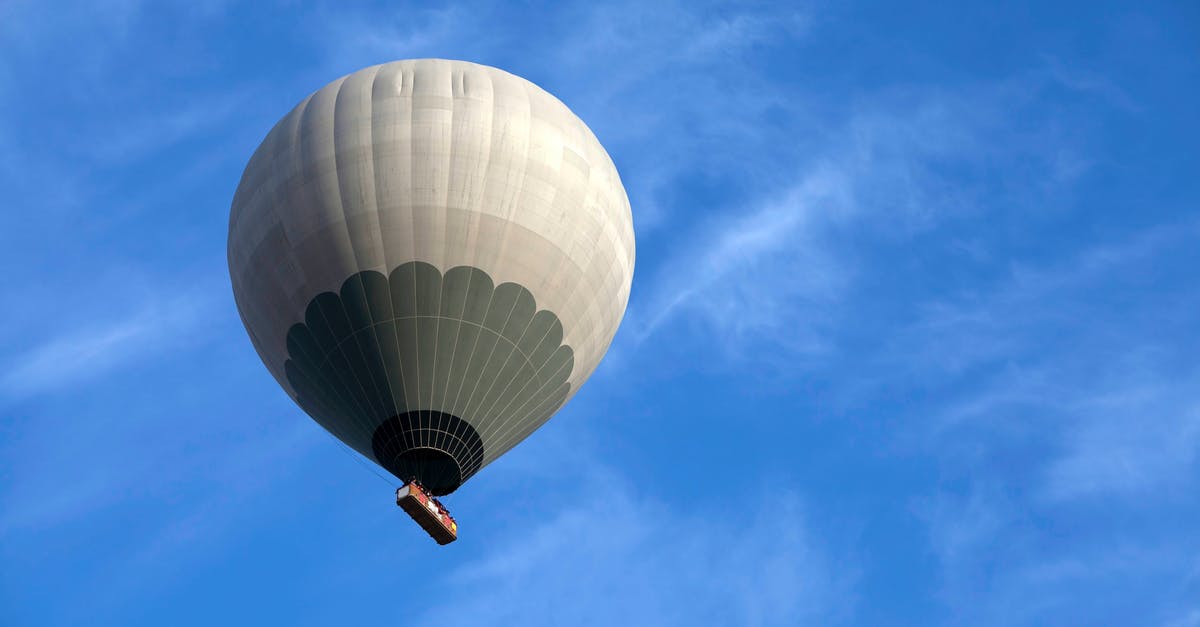 Delivery at Aircraft not available at LAX with Aeroflot? - White Hot Air Balloon Under Blue Sky