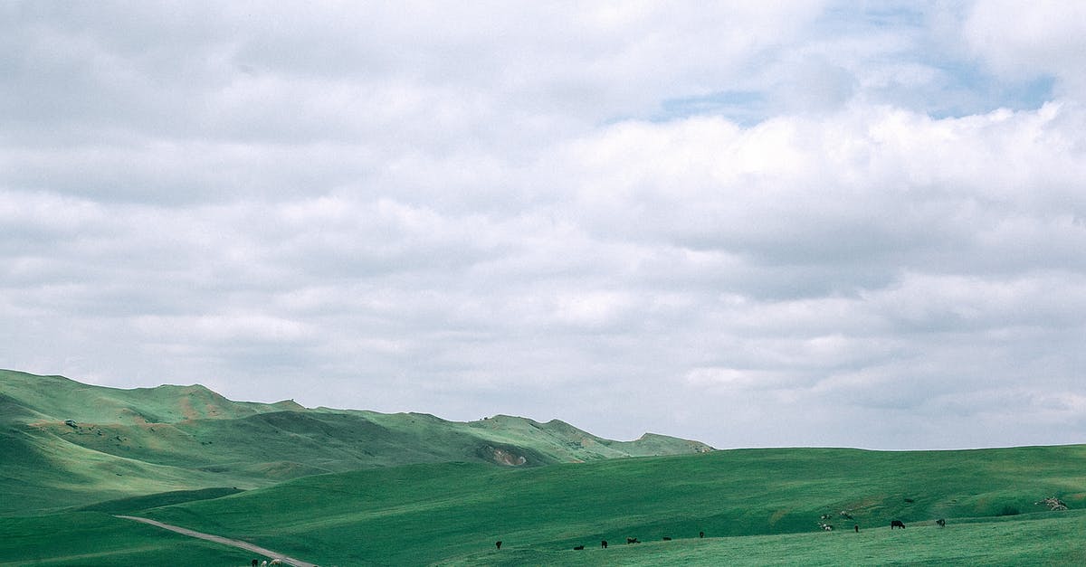 Difference between air fare for same route - Scenery view of wavy road between bright hills with grazing cattle under sky with clouds on farmland