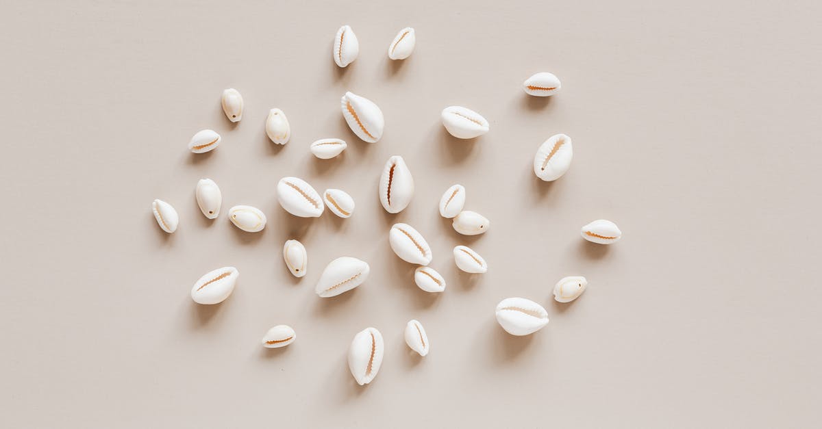 Different airlines, same destination, same day—can I check in at both? - Top view composition of shells assorted sizes arranged randomly on beige surface