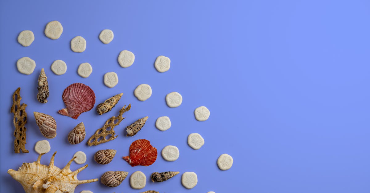 Different passengers for round trip [duplicate] - Overhead view of assorted decorative dry sea shells and corals with ribbed surface on bright background