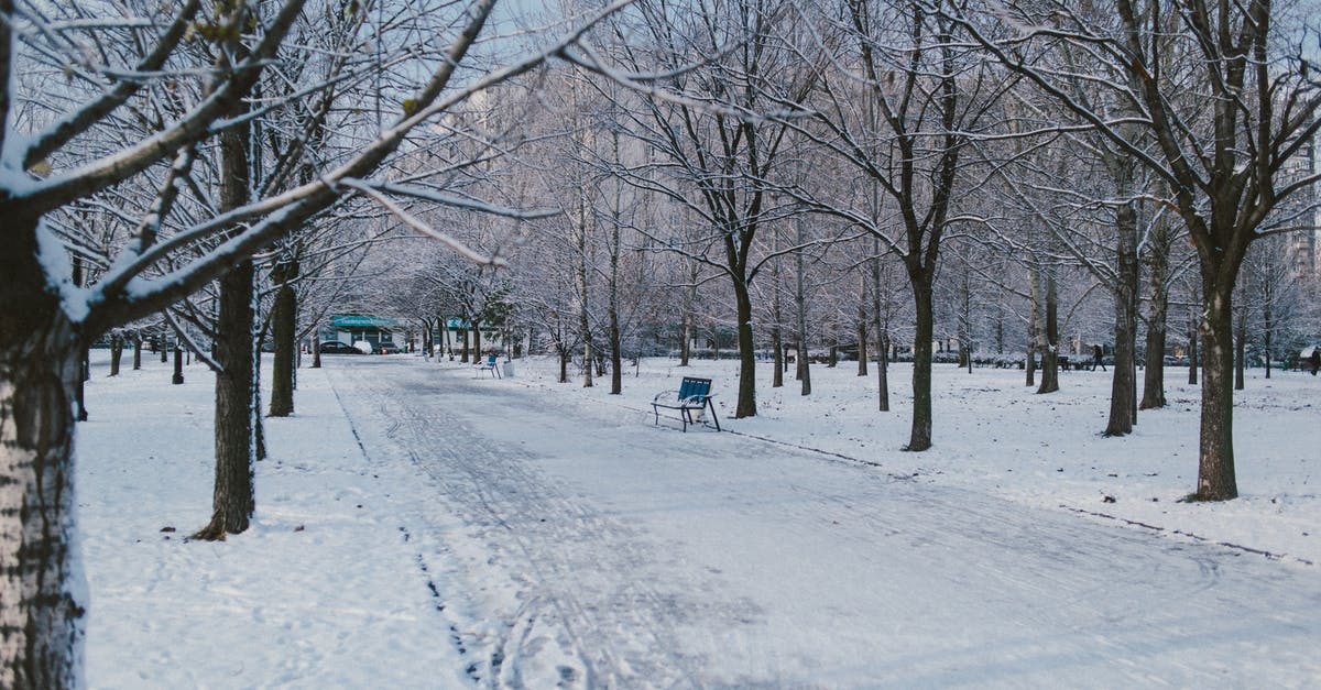 Do airlines now intentionally route around North Korea? - Walkway between dry trees in winter park