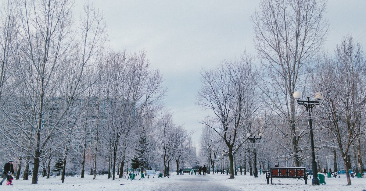 Do airlines now intentionally route around North Korea? - Walkway between overgrown trees on snowy land and anonymous people under light sky in winter city