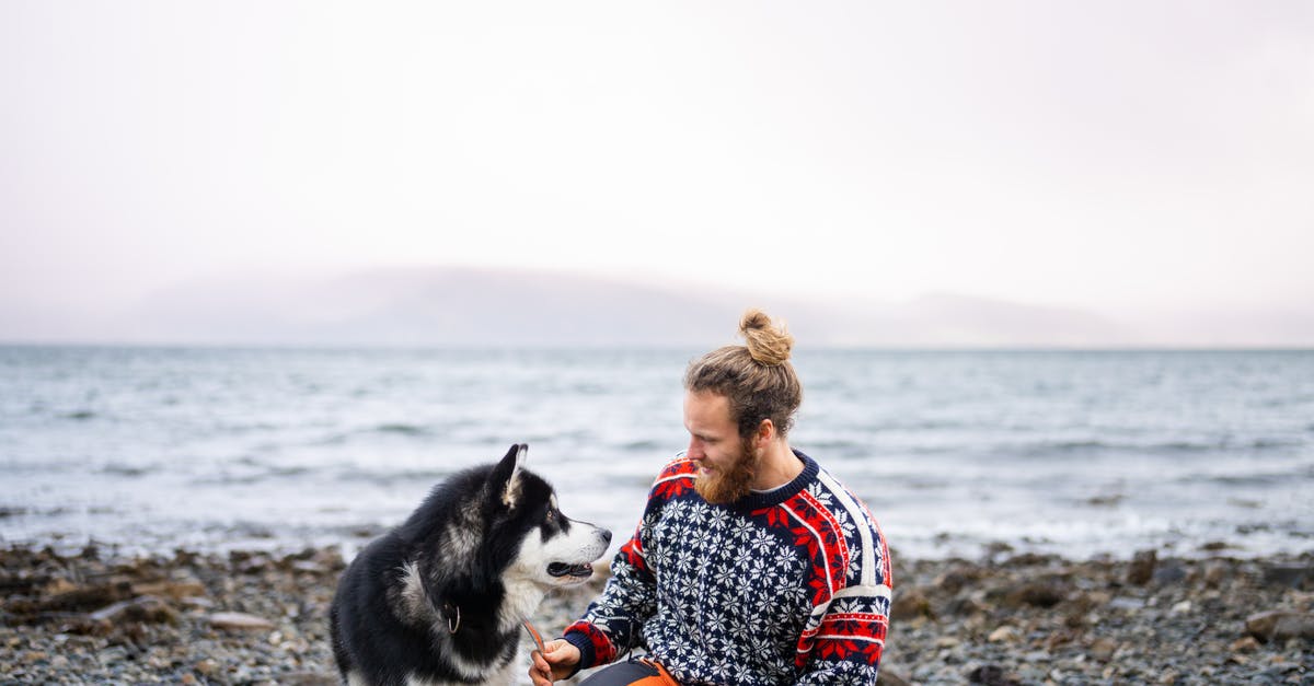 Do any passenger-carrying freighters connect Norway to North America through the Arctic? - Man Sitting on a Seashore with His Husky Dog
