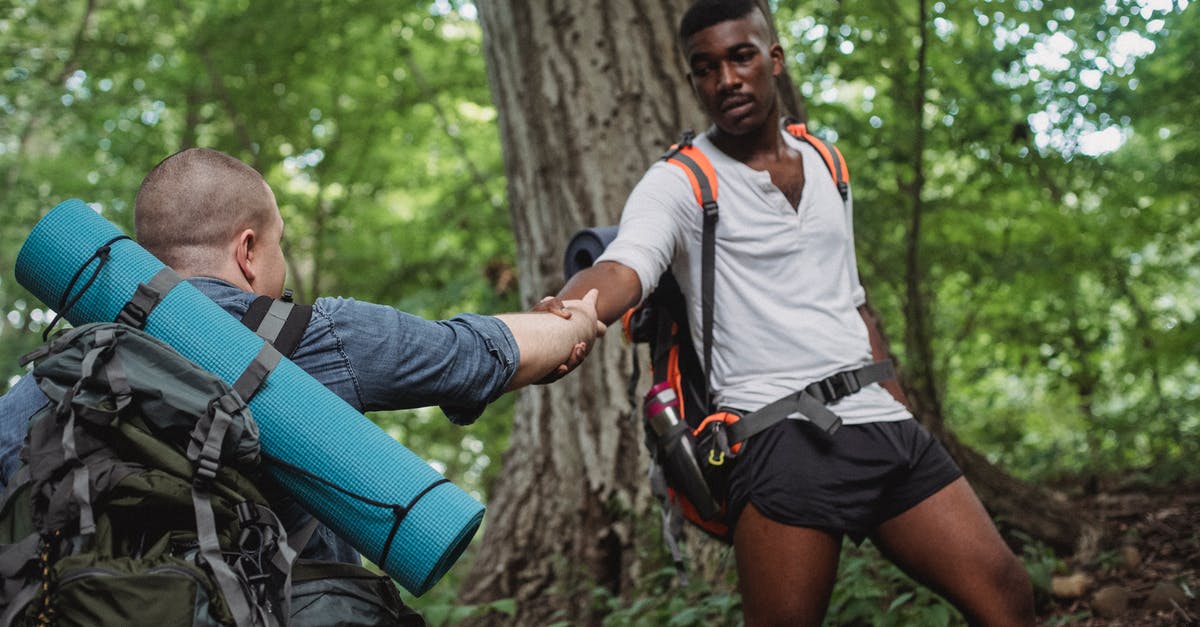 Do hostels provide cookware? - Focused African American traveler lending hand for faceless backpacker next to tree in forest in daytime