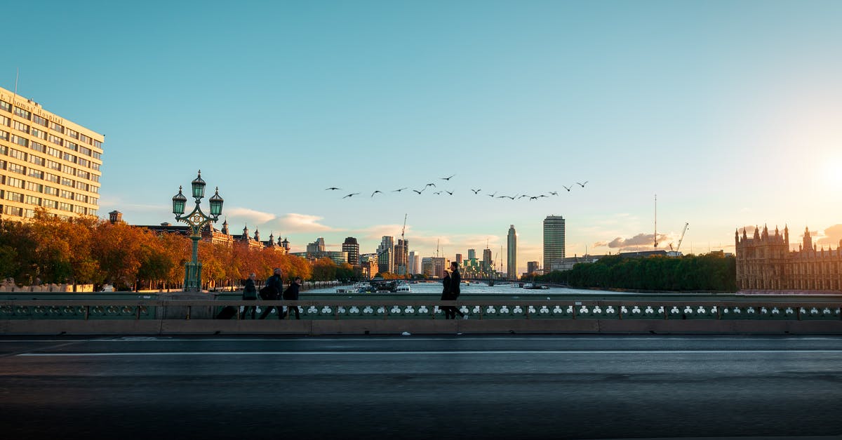 Do I have time to visit downtown London during a 4-hour layover at Heathrow? - Bird Flying over Bridge Do I have time to visit downtown London during a 4-hour layover at Heathrow? - Bird Flying over Bridge