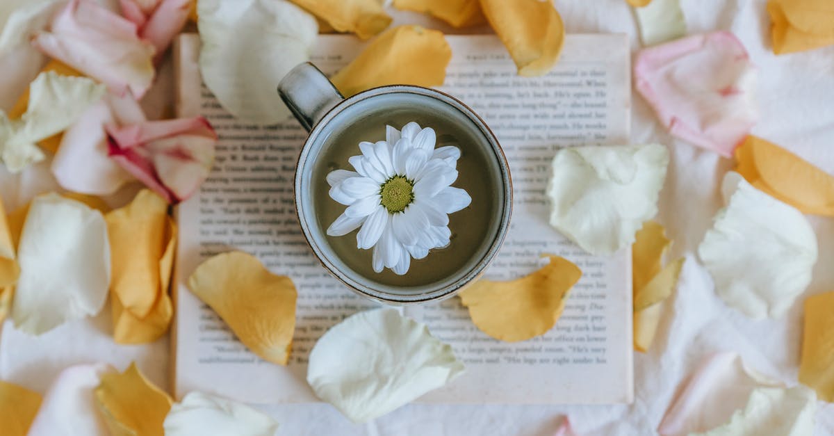 Do I need my vaccine yellow book to be physical? - Blossoming Chrysanthemum in cup of green tea on textbook