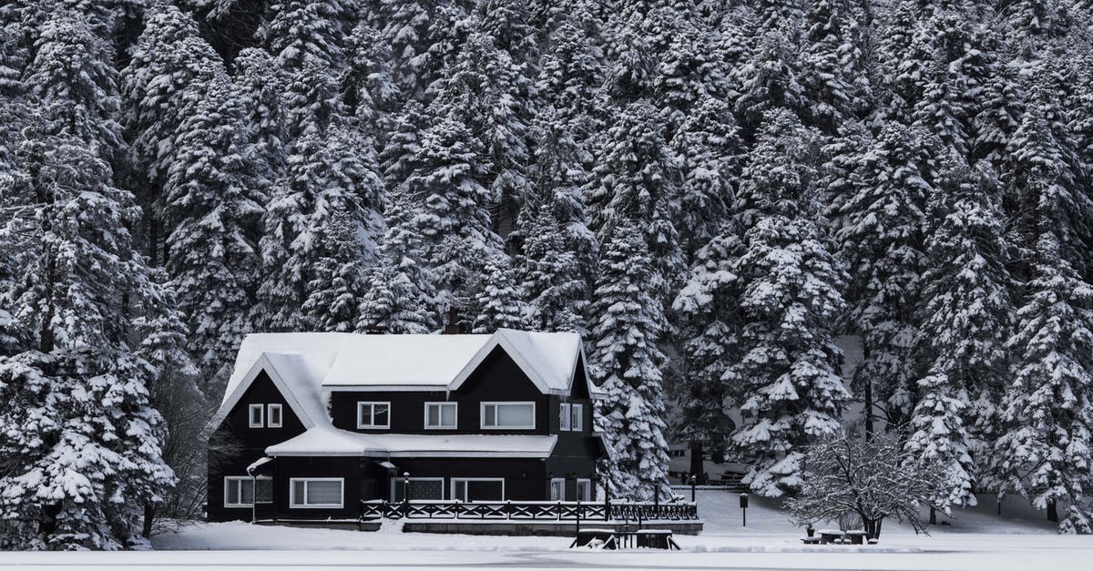 Do I need to declare ice axes at customs? - Snowy House Grayscale Photo