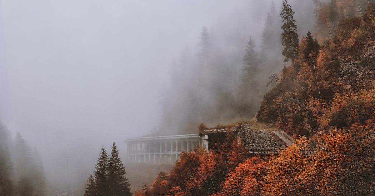 Do I need to take any precautions regarding smog when travelling? - Brown and Green Leaved Trees Covered With Fog