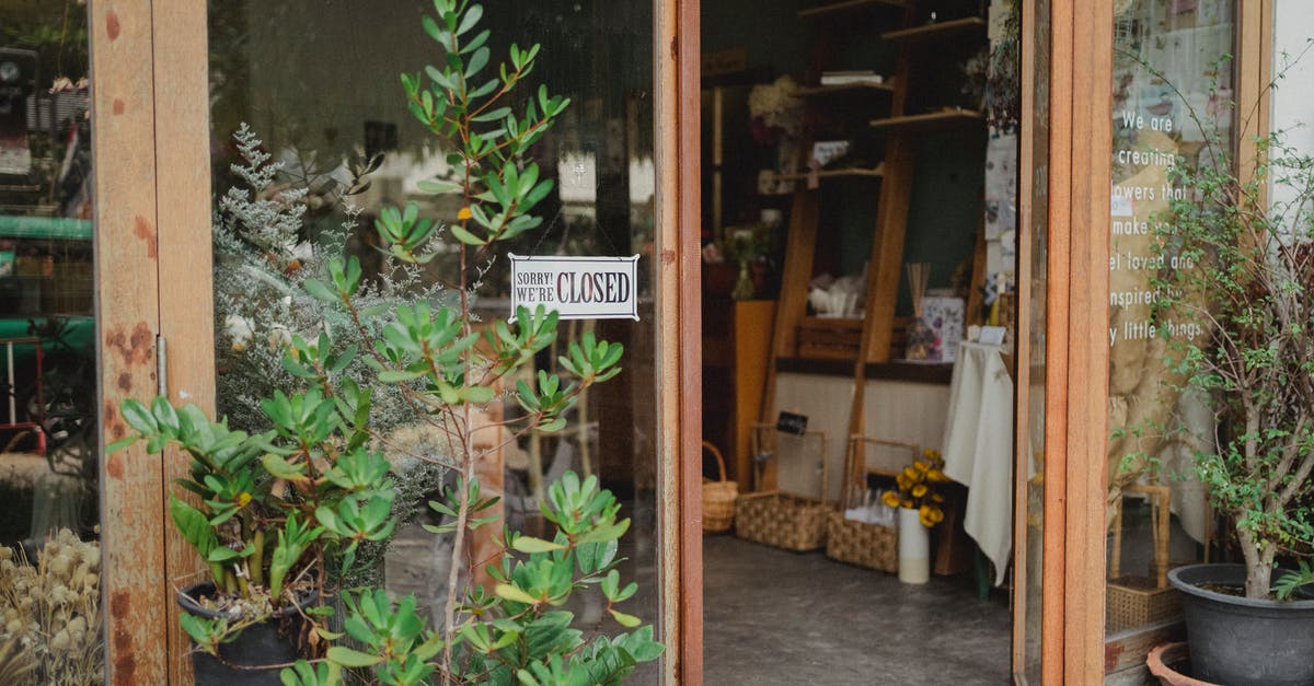 Do stores on Takeshita street open the 1st of January? - Exterior of contemporary floral store with glass walls and opened door decorated with verdant potted plants in daylight