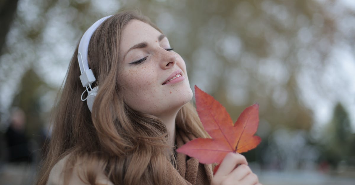 Do the Canadian Rockies lack red foliage in autumn? - Young satisfied woman in headphones with fresh red leaf listening to music with pleasure while lounging in autumn park