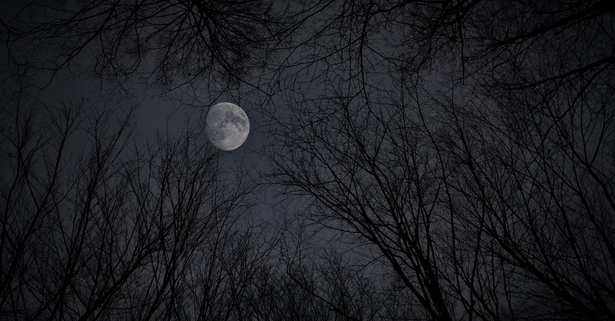 Do unlimited use/season tickets for the Eurostar exist from Lille? - White moon in gray sky with trees