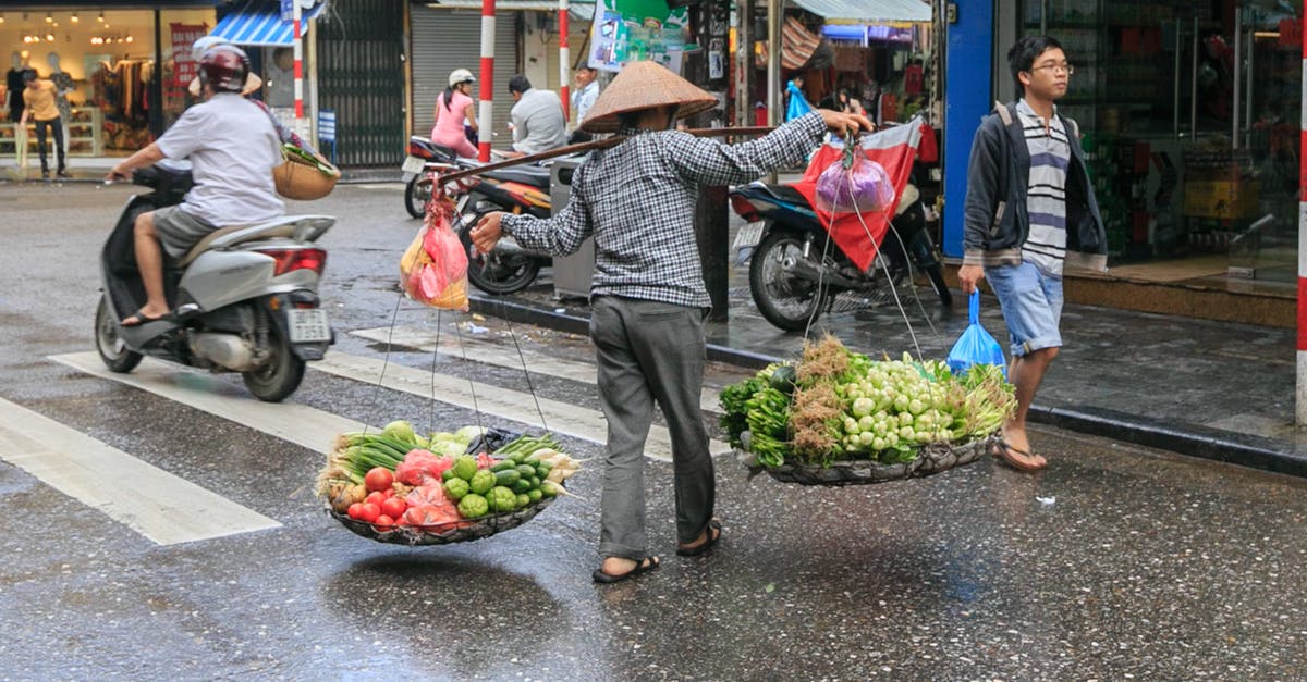 Do Varadero or Havana airports have shops which sell cigars and alcohol? - Person Carrying Vegetables Passing on Road