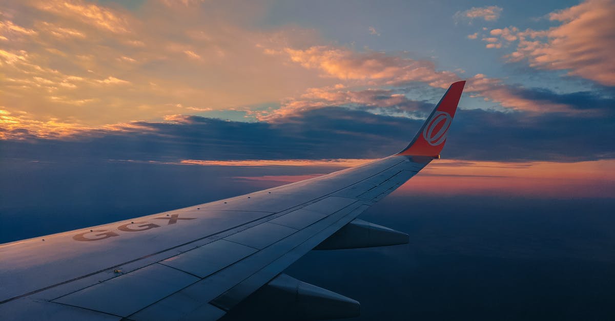 Do wheelchair-accessible aircraft exist? - White and Red Airplane Wing during Sunset