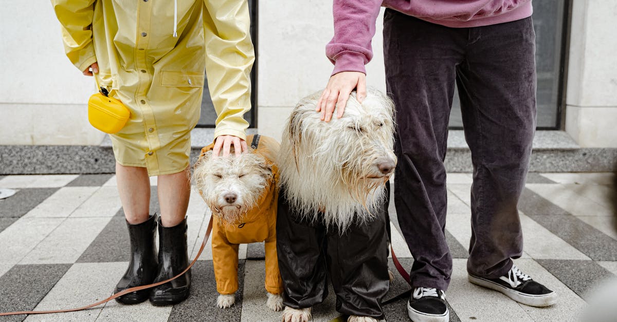 Do you need rain boots for June in Paris? - Free stock photo of care, child, city