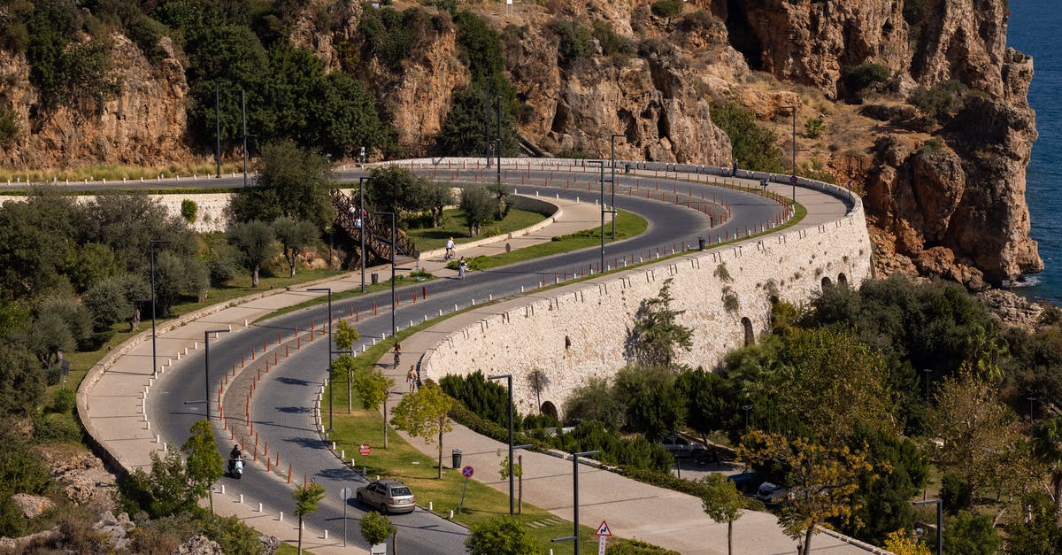 Does a moped need a Carnet de Passage for Iran? - Aerial View of Trees and Road