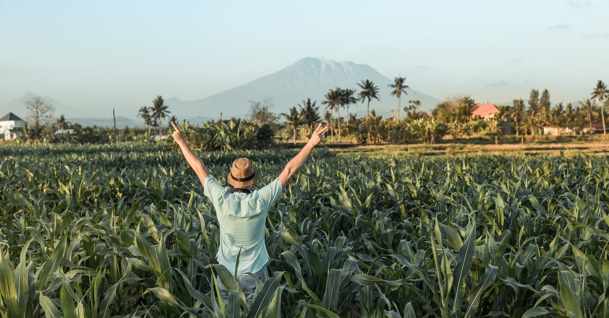 Does anyone know if Indonesia is infact allowing foreigners to apply for the short term tourist visa starting from September? - Man Standing at Middle of Cornfield