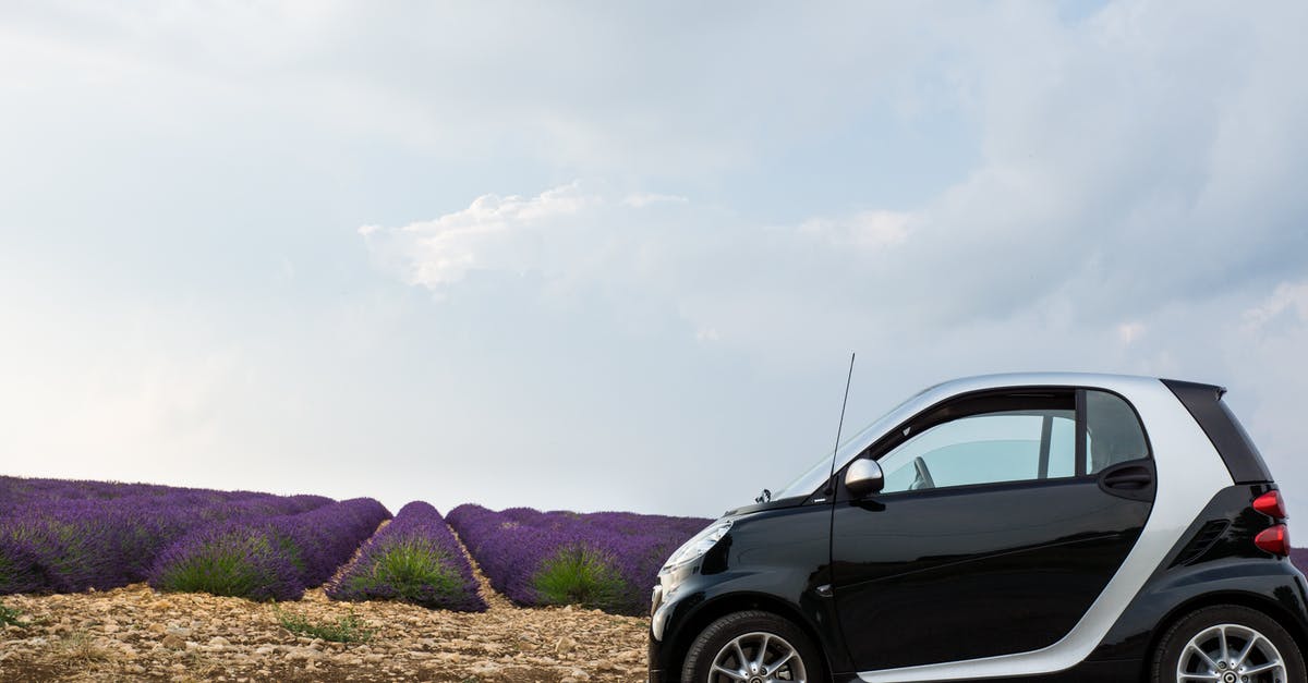 Does anyone make a small traditional-style suitcase without wheels? - Black and Gray Hatchback in Front of Purple Plants