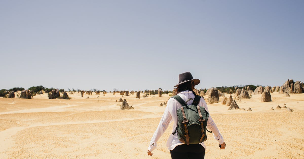 Does every tourist need a sponsor? - Man in Green Shirt and Black Pants Walking on Brown Sand