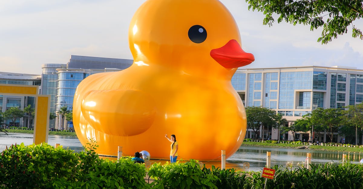 Does Georgia (the country) have a museum or sculpture park of Soviet/Communist/Socialist art? - Large Yellow Duckling Floating on Pond