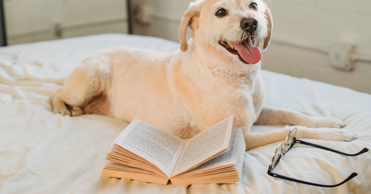 Does Qantas allow booking an Open-Jaw ticket with domestic connections in South Africa? - Happy Labrador Retriever lying on bed with eyeglasses and book