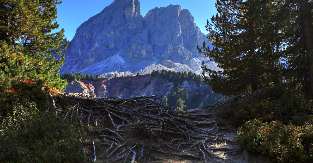 Does re-entering Italy restart the 3 month visitation limit? - Green Trees Near Mountain Under Blue Sky