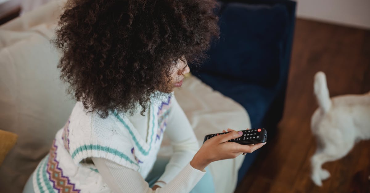 Does StarAlliance's loyality program have a "recommend a friend" program? - From above of focused young black woman with Afro hair in casual outfit sitting on sofa with remote controller in hand and watching TV during weekend at home with dog